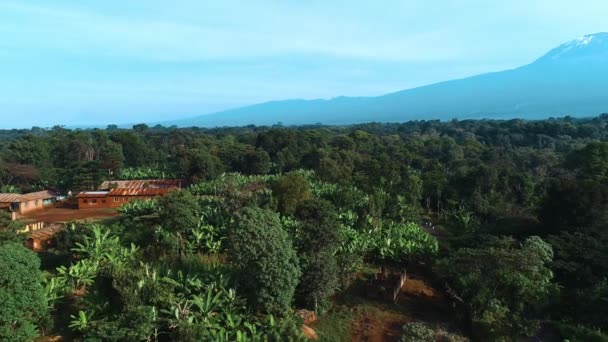 Luchtfoto Van Stad Kilimanjaro Tanzania — Stockvideo