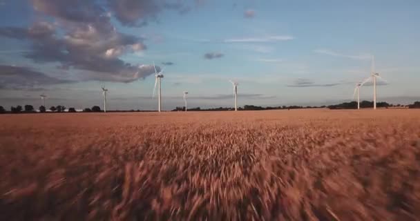 Lanzamiento Rápido Aviones Tripulados Ángulo Bajo Moviéndose Hacia Adelante Hacia — Vídeo de stock