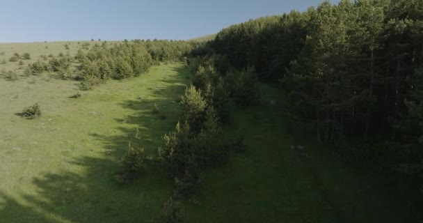 从鸟瞰看欧亚常绿森林的边缘 — 图库视频影像