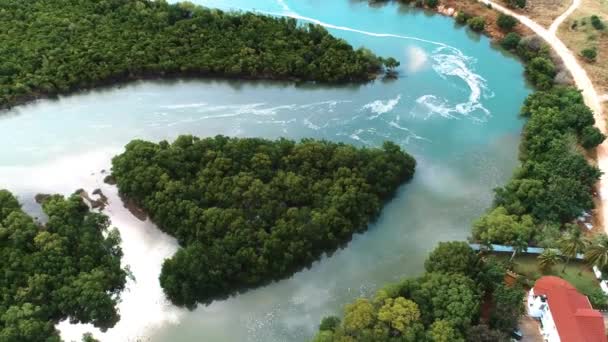 Flygfoto Över Mangrove Träsk Tanzania — Stockvideo