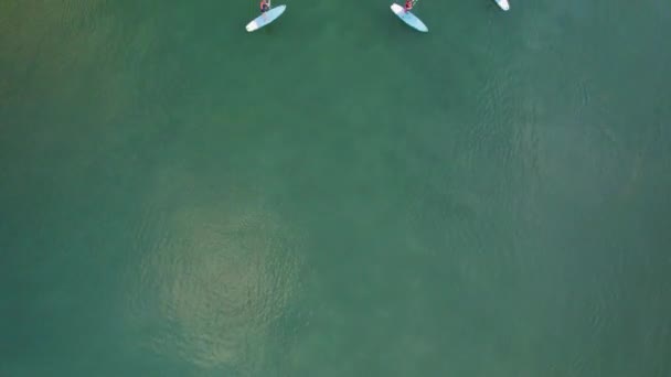 Tranquil Beach Tourists Stand Paddleboarding Orlowo Στην Gdynia Πολωνία Αεροφωτογραφία — Αρχείο Βίντεο