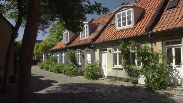 Mllestien Ancienne Rue Aarhus Danemark Jour Été — Video