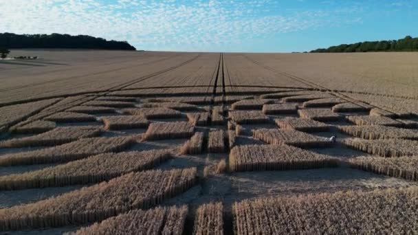 Gizemli Micheldever Stasyonu Matematiksel Buğday Tarlası Ekin Çemberi Havadan Yükselen — Stok video