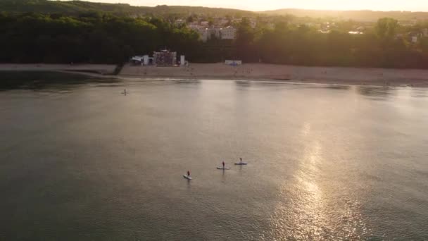 Surfers Paddles Idyllic Beach Scena Letnia Teatru Miejskiego Background Plaa — Wideo stockowe