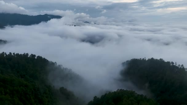 Luchtvlieg Drone Uitzicht Boven Bergen Weelderige Groene Regen Wolken Bedekken — Stockvideo