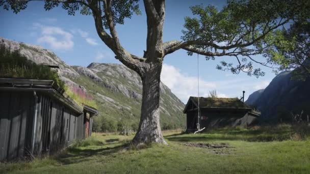 Eine Schaukel Auf Dem Alten Hohen Baum Ein Traditionelles Spatenstichhaus — Stockvideo