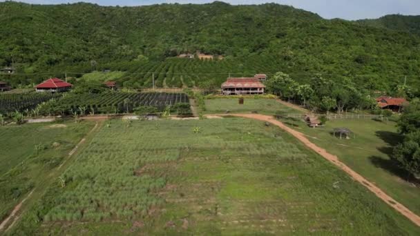 Las Imágenes Aéreas Plantación Kampot Antigua Casa Sala Pertenecen Una — Vídeo de stock