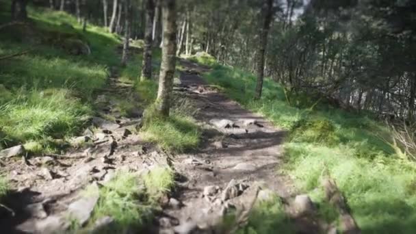 Uma Trilha Rochosa Sobe Pela Floresta Movimento Lento Pan Para — Vídeo de Stock