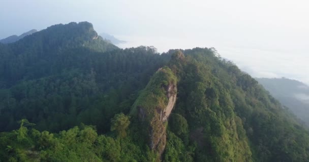 인도네시아에서 이비치는 마법같은 초록색 언덕들의 — 비디오