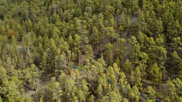 Malebný Letecký Pohled Žlutý Zelený Les Národním Parku Teide Španělsko — Stock video