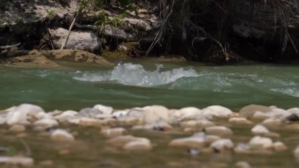 Rio Fluxo Rápido Com Costa Rochosa Montanhas Florestais Foco Seletivo — Vídeo de Stock