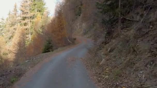 スイスアルプスの美しい山道 アスファルトや道路はシングルトラックです スイスの山のパノラマと田舎道 スイスでのレンタカー — ストック動画