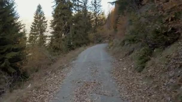 スイスの山々の美しい山道 アスファルトや道路は1車線です スイスの山々の景色を望む田舎道 スイスでのレンタカー — ストック動画