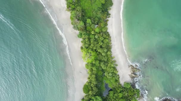 哥斯达黎加曼纽尔 安东尼奥国家公园空中拍摄的鲸鱼尾形海滩 蓬塔乌维塔的岩石点 蓬塔雷纳斯岛南部阳光明媚 4K视频 — 图库视频影像