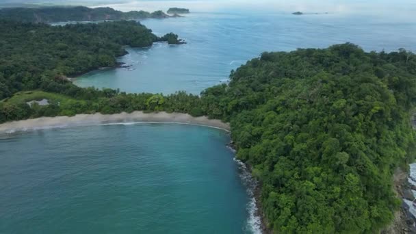 Aerial Drone Shot Whale Ogon Kształt Plaży Manuel Antonio National — Wideo stockowe