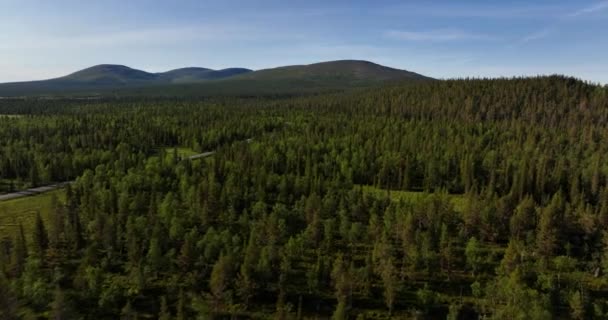 Vista Aérea Sobre Bosque Con Las Montañas Pallastunturi Fondo Verano — Vídeo de stock