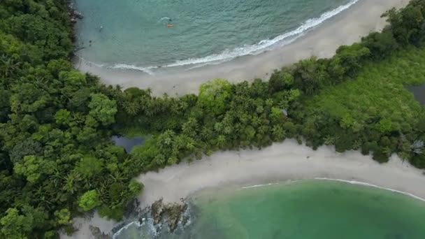 Aerial Top Shot Praia Forma Cauda Baleia Parque Nacional Manuel — Vídeo de Stock