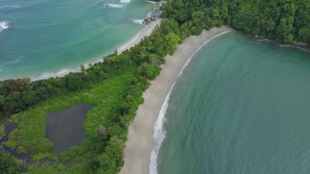 Kosta Rika Daki Manuel Antonio Ulusal Parkı Nda Balina Kuyruğu — Stok video