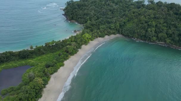 在哥斯达黎加的曼纽尔 安东尼奥国家公园 空中无人驾驶的鲸鱼尾形海滩 蓬塔雷纳斯岛南部阳光明媚 4K视频 — 图库视频影像