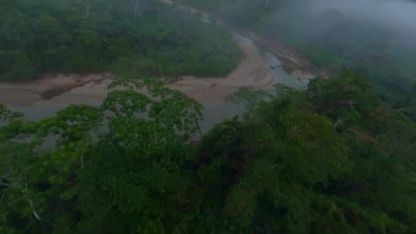 Fpv Drone Volo Sopra Baldacchino Giungla Lungo Letto Del Rio — Video Stock