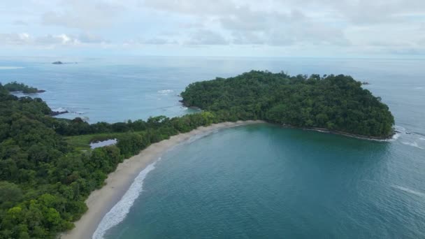 Aerial Drone Shot Whale Ogon Kształt Plaży Manuel Antonio National — Wideo stockowe