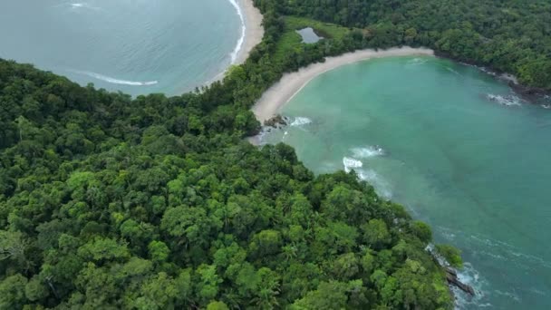 Пляж Форме Хвоста Китов Национальном Парке Мануэль Антонио Коста Рика — стоковое видео