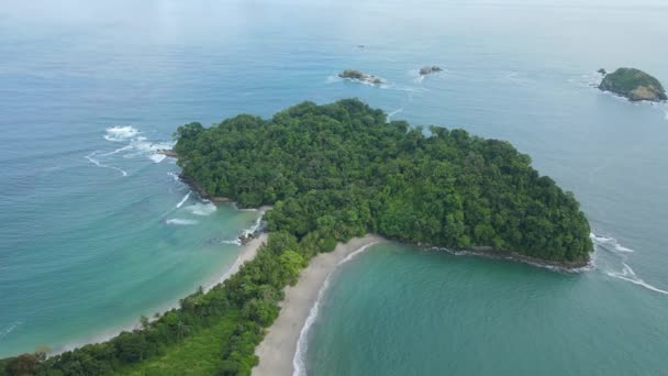 Flygdrönare Utsikt Över Whale Svans Formade Stranden Manuel Antonio National — Stockvideo