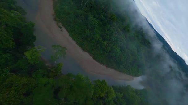 Vuelo Fpv Sobre Nebulosa Exótica Selva Amazónica Área Natural Intacta — Vídeo de stock