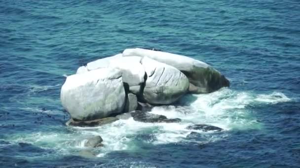 Ocean Waves Crashing Boulders Кейптауні Південна Африка Широкий Повільний Рух — стокове відео