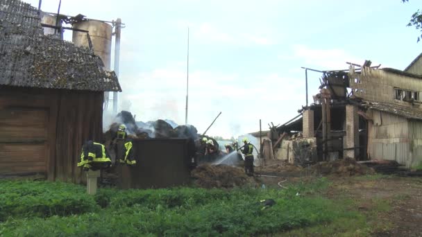 Fireman Extinguish Fire Hose Firefighters Put Out Burning Grain Forge — Stok video