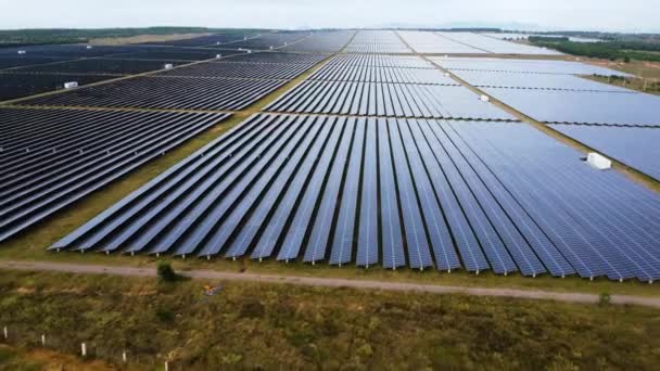 Campo Agrícola Paneles Solares Sobrevuelo Aéreo Que Genera Energía Renovable — Vídeo de stock