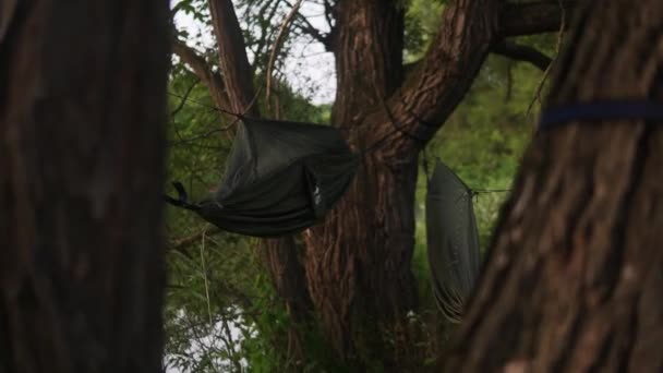 Ein Zoombild Der Natur Zwei Hängematten Einem Baum Hängen Dieses — Stockvideo