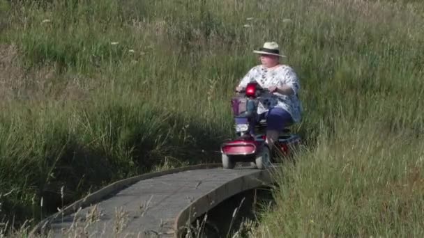 Vrouwen Mobiliteit Scooter Bewegen Langs Promenade Genieten Van Wilde Bloem — Stockvideo