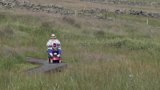 Femmes Sur Scooter Mobilité Déplaçant Long Promenade Profitant Nature Plein — Video