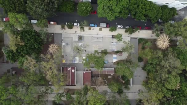 Birdseye View Revealing Skott Omgivningarna Skate Park Park Full Gröna — Stockvideo