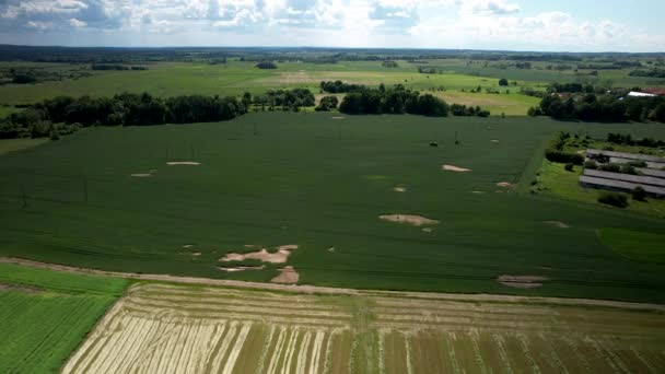 在茂盛的绿色欧洲农田上空盘旋的无人驾驶飞机 阳光充足的夏天 — 图库视频影像