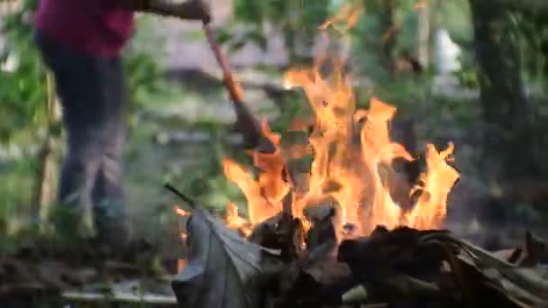 Trockene Blätter Harken Und Dann Verbrennen Das Feuer Entzündet Sich — Stockvideo