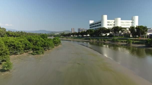 Vôo Baixo Drone Sobre Área Pântano Rio Shan Pui Perto — Vídeo de Stock