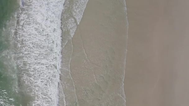 Overhead View Foamy Beach Meeting Shoreline Palm Beach Στη Χρυσή — Αρχείο Βίντεο