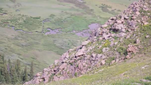 Mountain Rocky Landscape Pan Mount Bierstadt Colorado — 비디오