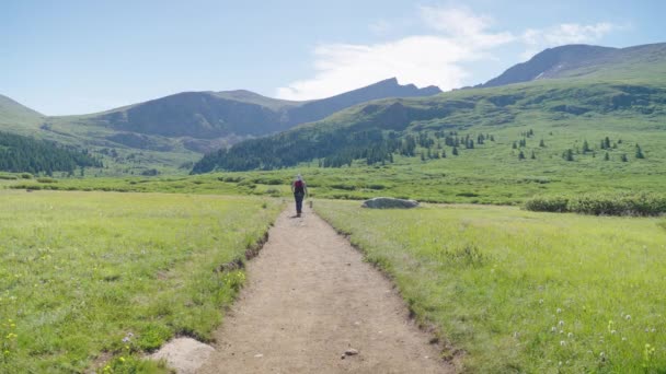 Senderista Distancia Caminando Hacia Monte Bierstadt Colorado — Vídeos de Stock
