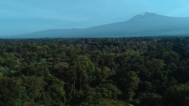 Tanzanya Daki Kilimanjaro Kasabasının Havadan Görünüşü — Stok video