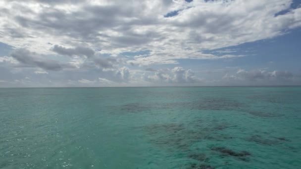 Łodzie Rybackie Poszukujące Delfinów Mnemba Island Zanzibar — Wideo stockowe