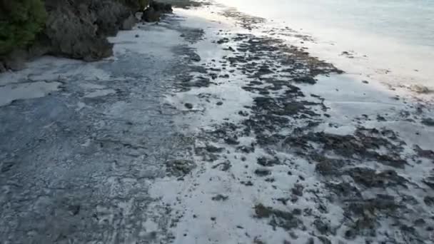 Praia Areia Branca Oceano Índico Kiwengwa Zanzibar — Vídeo de Stock