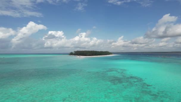 Luchtfoto Van Mnemba Island Zanzibar Tanzania — Stockvideo