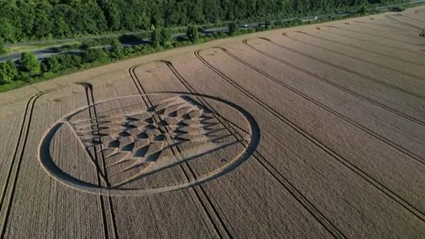 Flygfoto Omloppsbana Konstigt Micheldever Station Geometriska Främmande Jordbruksmark Gröda Cirkel — Stockvideo