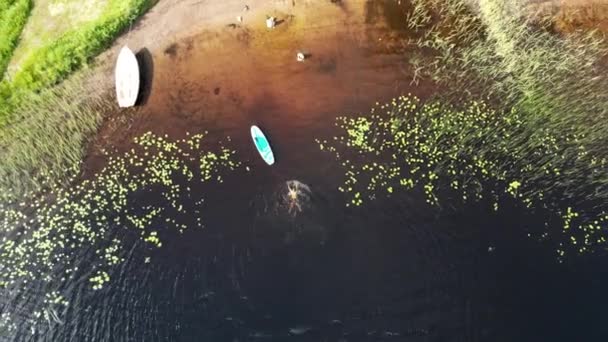 Man Swimming Lake While Pushing Surfboard Ther Shore Dalarna Sweden — стокове відео