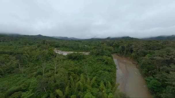 Bruine Meanderende Rivier Met Zandbanken Amazone Jungle Fpv Drone View — Stockvideo