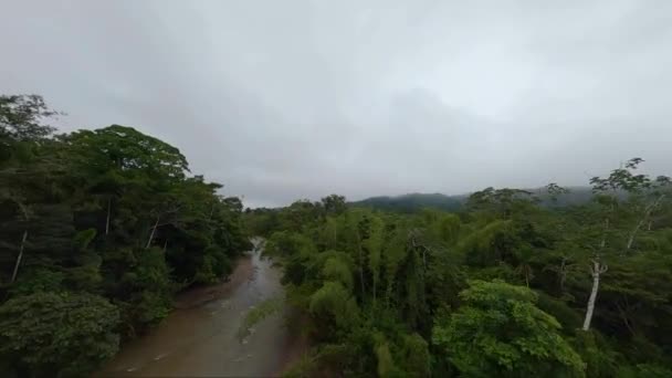 Fpv Rainforest Tree Canopy Vuelo Buceo Lecho Del Río Amazonas — Vídeo de stock