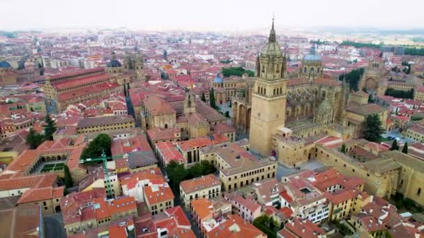 サラマンカ スペイン 壮大なドローンショットの古いと新しい大聖堂 — ストック動画